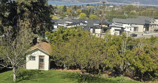 View from patio