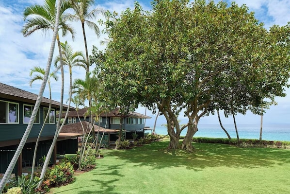 Oceanfront