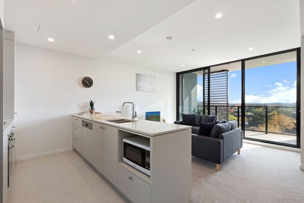 Kitchen/Living Area