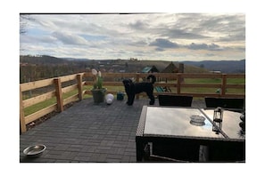 Terrasse / Balcon