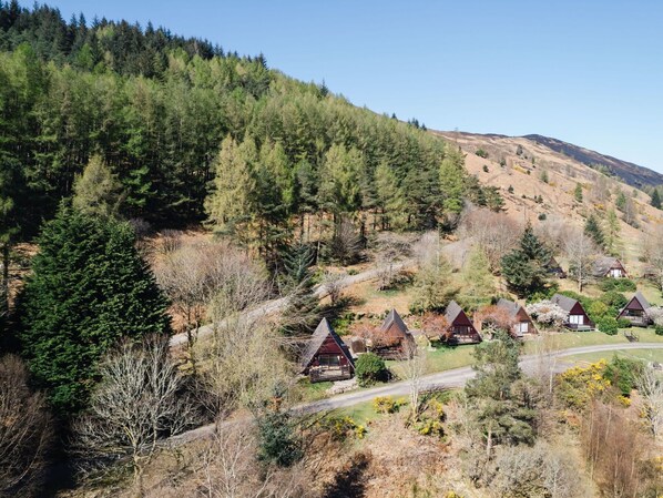 Baum, Blatt, Vegetation, Haus, Hochland, Strauch, Landschaft, Ländliches Gebiet, Wald, Menschliche Siedlung