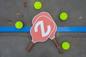 Pickleball paddles and balls provided