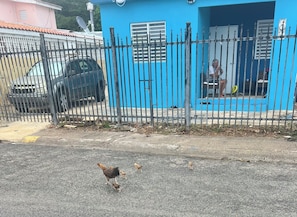Property grounds