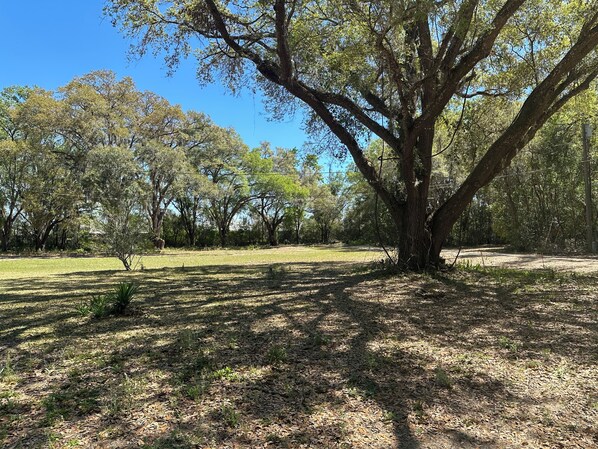 3 acres