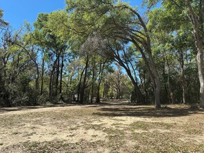 Dirt road coming into property
