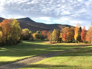 Fall foliage on the golf course