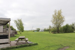 Trädgård [sommar]
