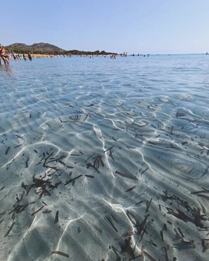 Strand