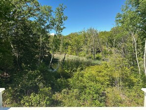 Private pond with scenic woodland views.
