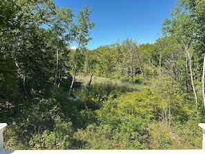 Private pond with scenic woodland views.