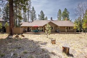 Exterior Rear View