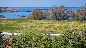 Vue depuis l’hébergement