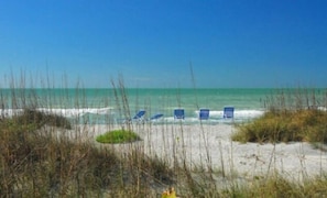 Playa