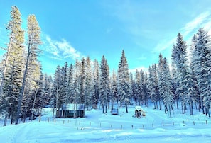 Sunny Day View