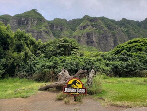 Life finds a way