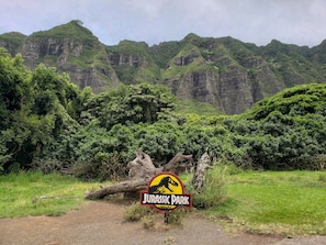 Life finds a way