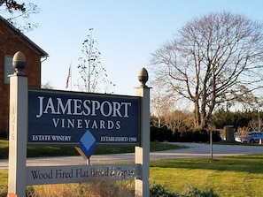 Explore Jamesport vineyards!