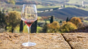 Explore Jamesport vineyards!