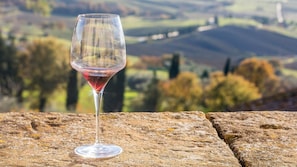 Explore Jamesport vineyards!