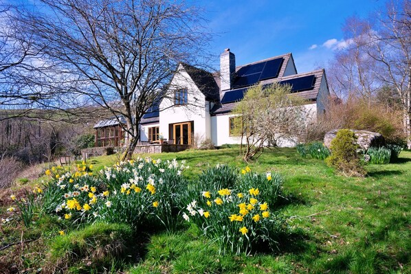 Extérieur maison de vacances [été]