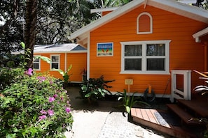 Surrounded by lush tropical foliage