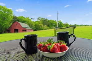 Alimentos y bebidas