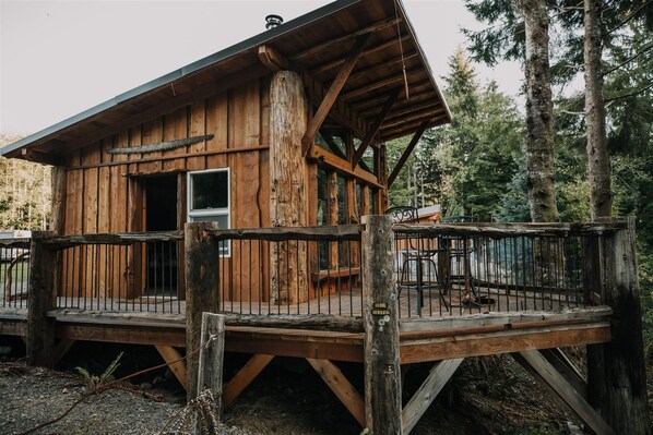 Cabin2