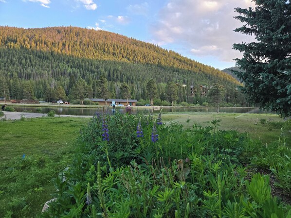 Gorgeous lake view just outside your patio door