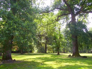 Le parc
