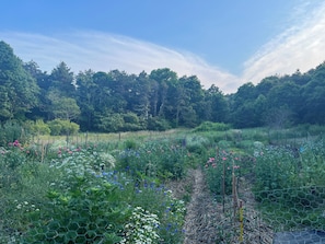 Farm view