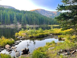 Beautiful views and lake access from the backyard!