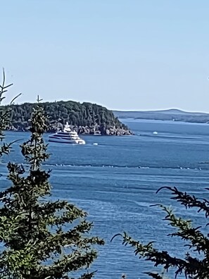 Sekalaista