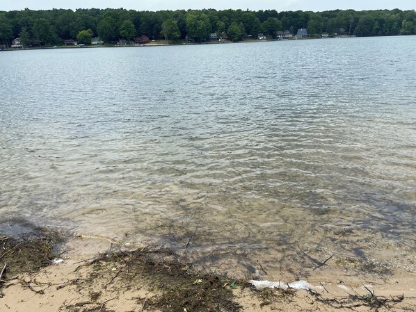 Ranta