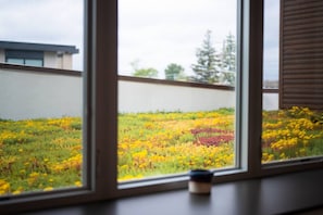 Nature views that soothe