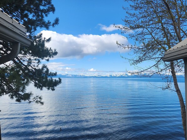 Utsikt från boendet