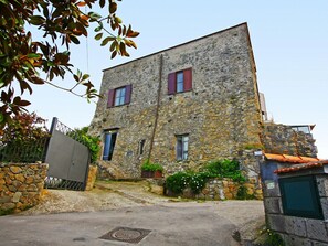 Plant, Sky, Building, Window, Cottage, House, Road Surface, Residential Area, Facade