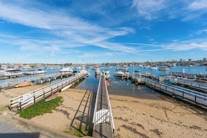 Scenic boardwalk leading straight to the water. (Edgewater A)