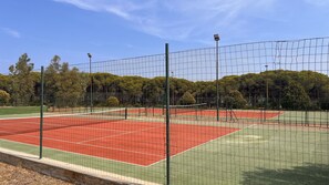 Activities, Autumn, Spring, Summer