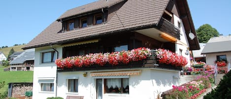 Exteriör