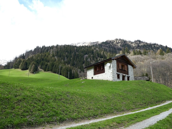 Gras, Haus, Zuhause, Hütte, Landschaft, Dach, Ländliches Gebiet, Hochland, Hügel, Grundstueck