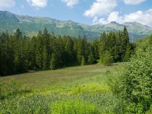 Bergforms, Grün, Baum, Natürlichen Umgebung, Berg, Natürliche Landschaft, Wildnis, Vegetation, Wald