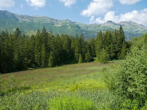 Bergforms, Grün, Baum, Natürlichen Umgebung, Berg, Natürliche Landschaft, Wildnis, Vegetation, Wald