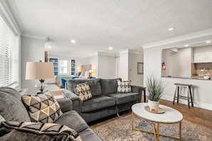 A sofa bed and a love seat in a spaction living area.