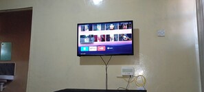 Television