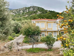 Extérieur
