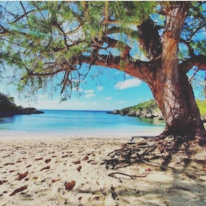 Strand