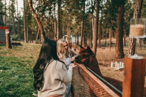Elopement Photographer-119_websize (1)