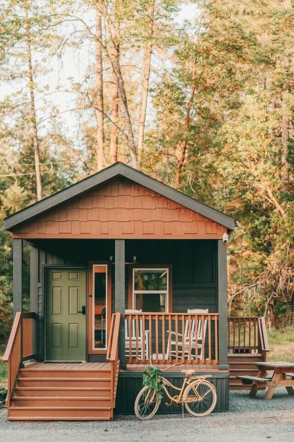 Tiny Cabin in the Woods