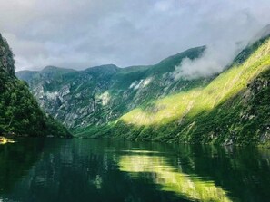 Övrigt