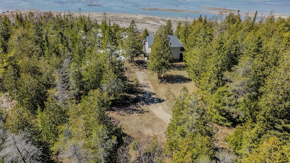 Secluded waterfront cottage surrounded by lush forest, offering total privacy and direct access to beautiful shoreline adventures.
